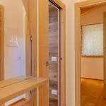 Apartamento The Dreaming Dolomiti Canale dʼAgordo